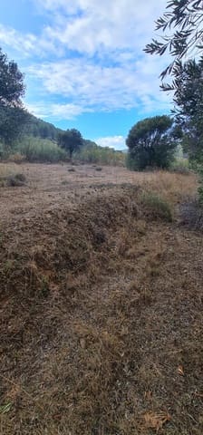 Finca/Herregård til salgs i Corbera d'Ebre - € 34 000 (Ref: 7236845)