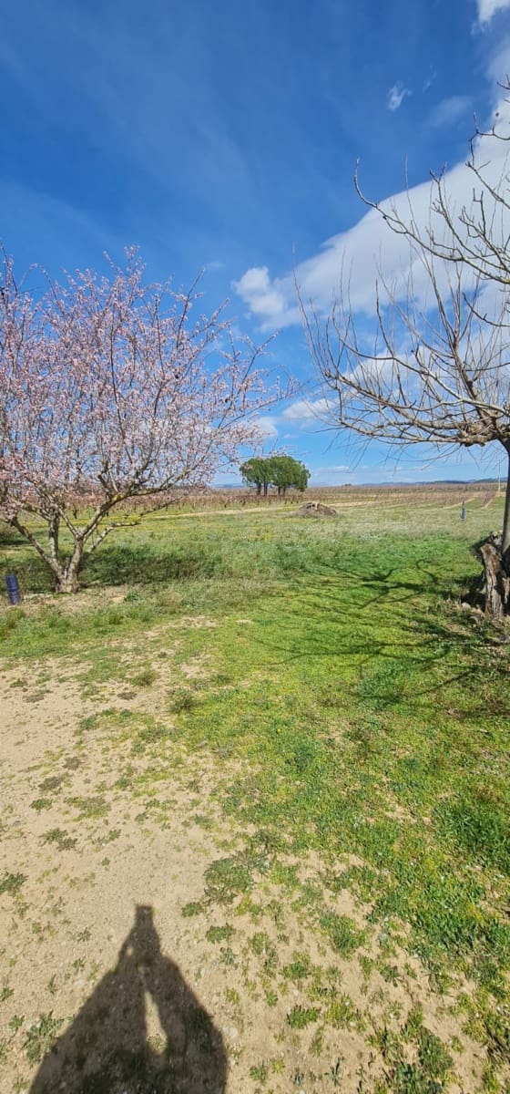 2 soveværelse Finca/Landehus til salg i Benissanet - € 78.000 (Ref: 7443728)