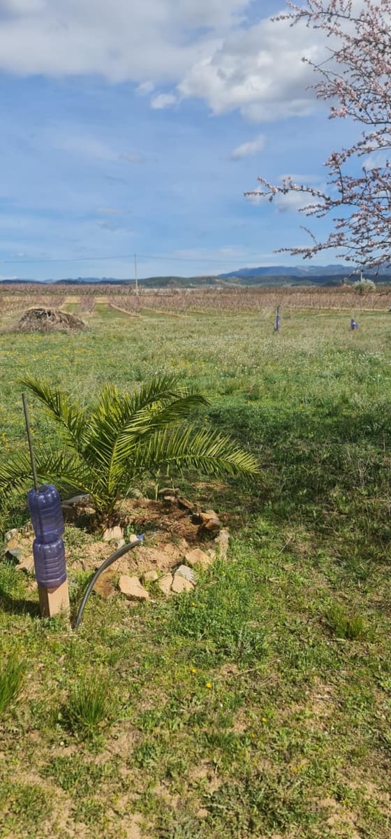 2 soveværelse Finca/Landehus til salg i Benissanet - € 78.000 (Ref: 7443728)