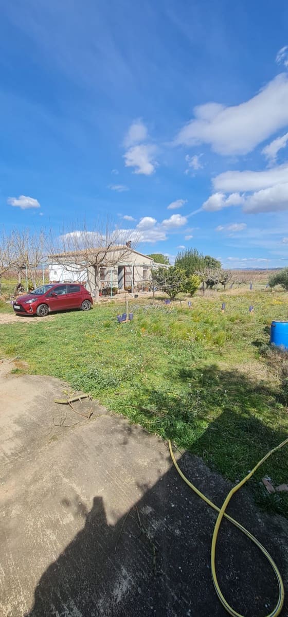 2 sypialnia Finka/Dom wiejski na sprzedaż w Benissanet - 78 000 € (Ref: 7443728)