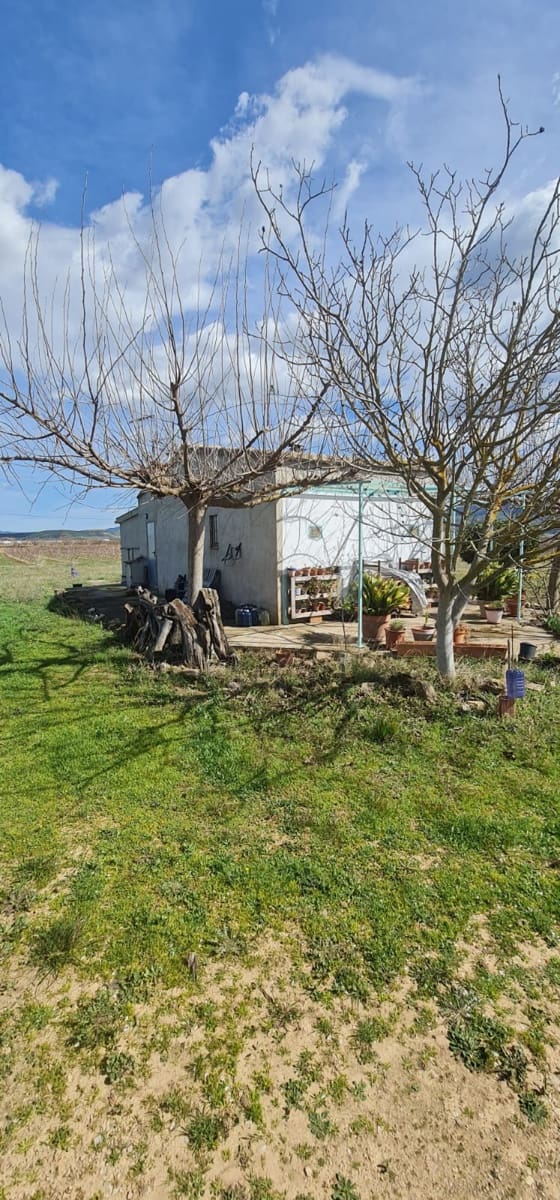 2 sypialnia Finka/Dom wiejski na sprzedaż w Benissanet - 78 000 € (Ref: 7443728)