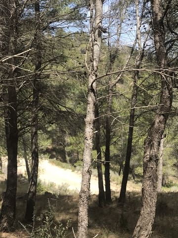 Finca/Hus på landet till salu i Prat de Comte - 78 000 € (Ref: 7529541)