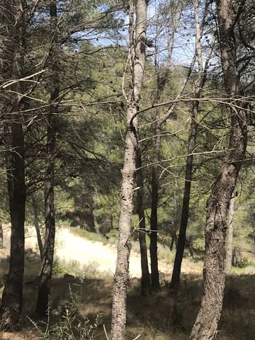 Finca/Maison de Campagne à vendre à Prat de Comte - 78 000 € (Ref: 7529541)