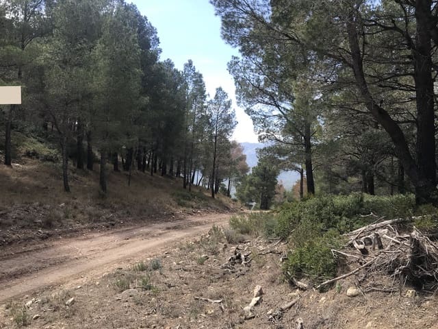 Finca/Maison de Campagne à vendre à Prat de Comte - 78 000 € (Ref: 7529541)