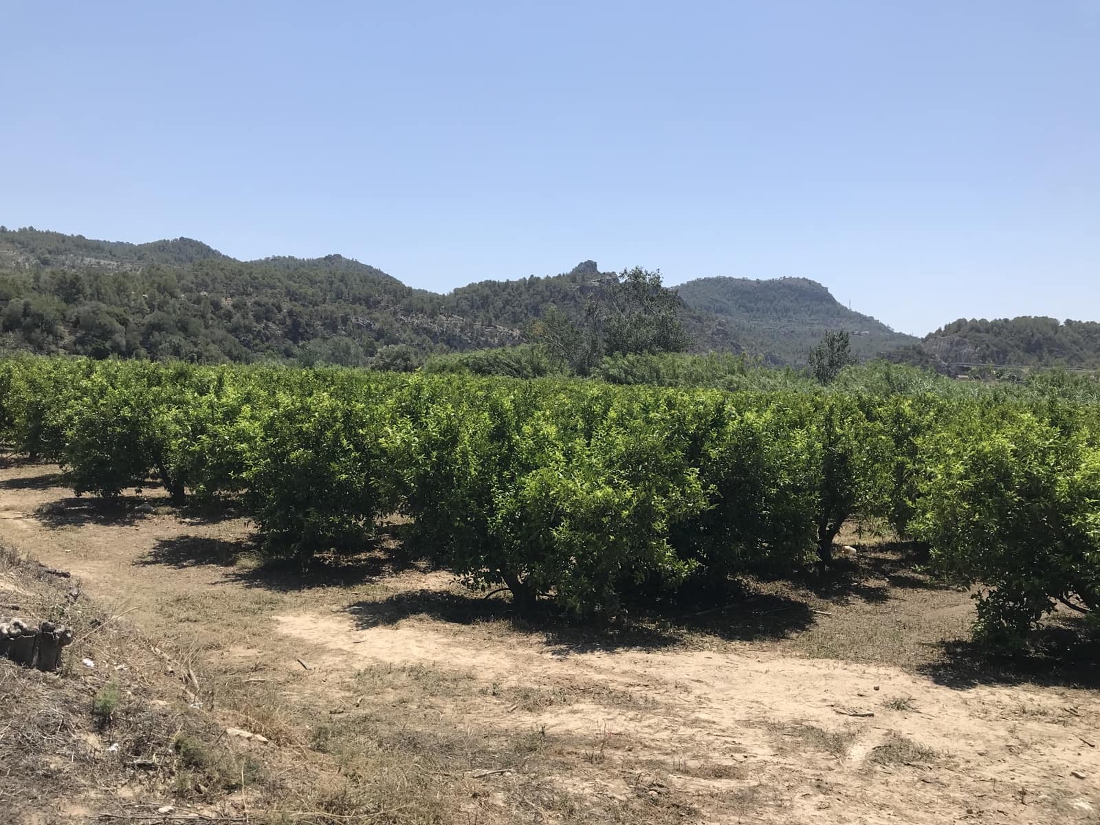 Finca/Landehus til salg i Benifallet - € 98.000 (Ref: 7681863)