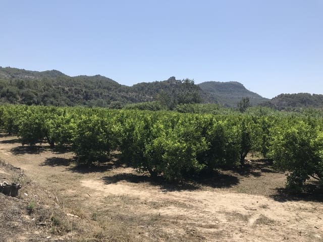 Finca/Landehus til salg i Benifallet - € 98.000 (Ref: 7681863)