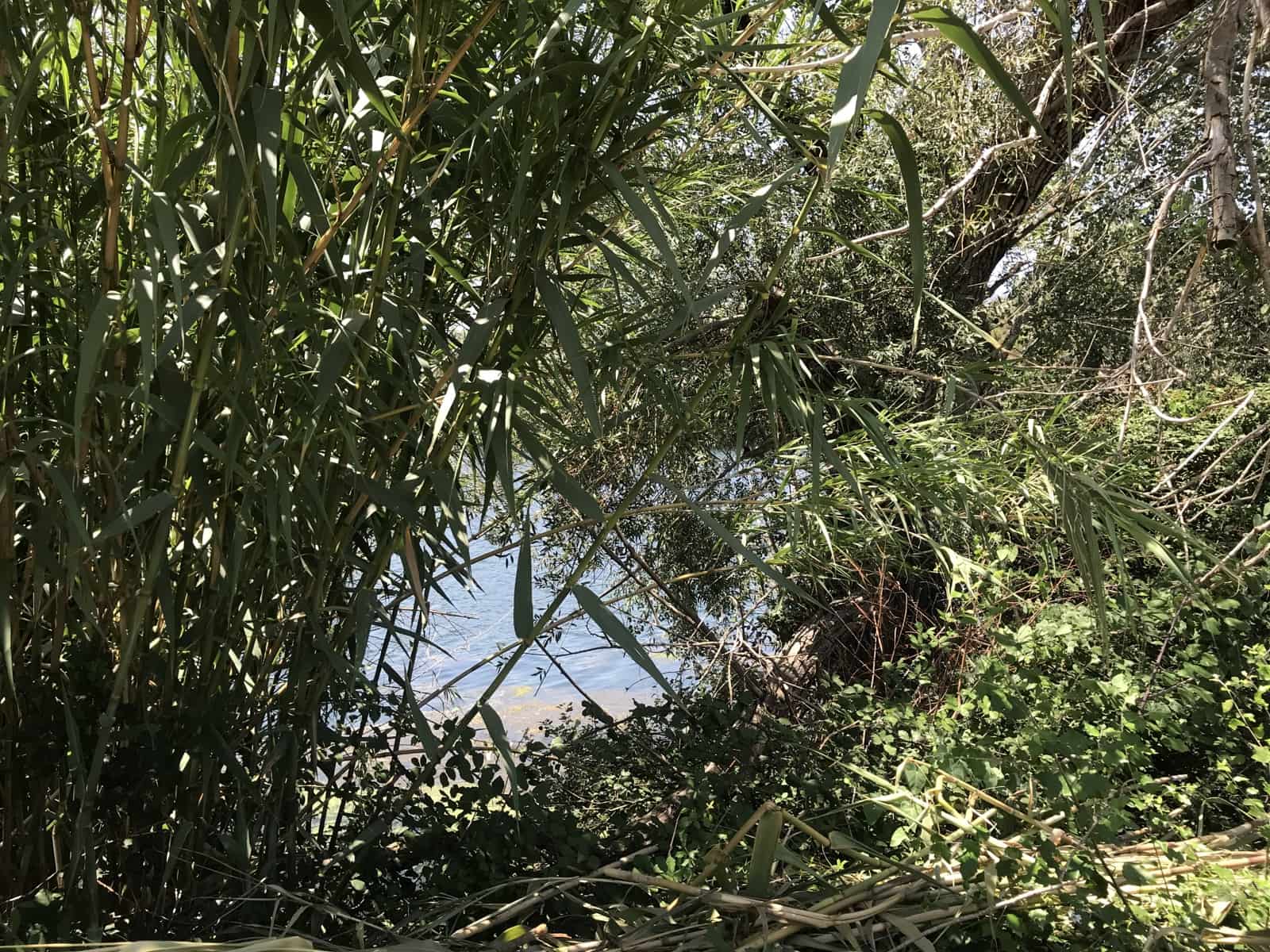 Finca/Landehus til salg i Benifallet - € 98.000 (Ref: 7681863)