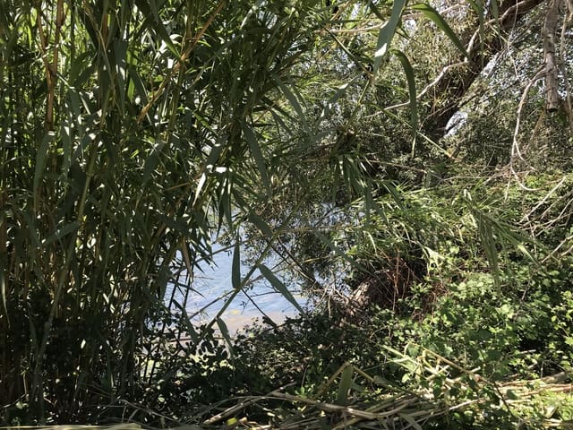 Finca/Landehus til salg i Benifallet - € 98.000 (Ref: 7681863)