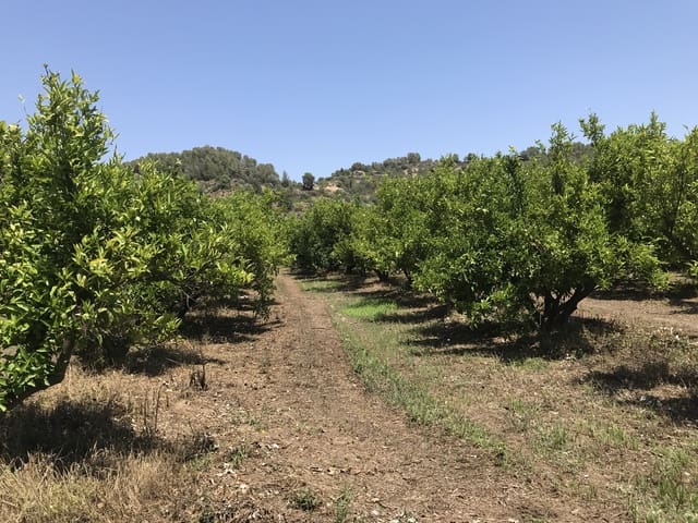 Finca/Landehus til salg i Benifallet - € 98.000 (Ref: 7681863)