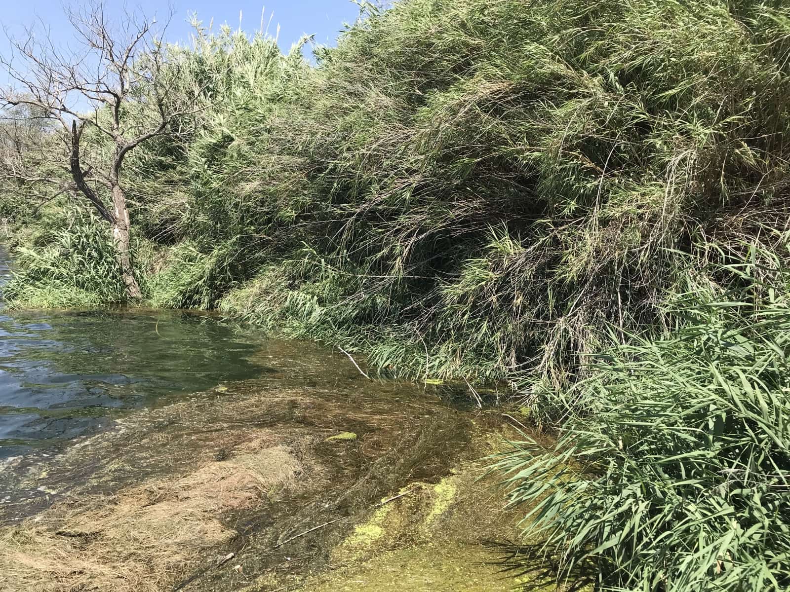 Finca/Landehus til salg i Benifallet - € 98.000 (Ref: 7681863)