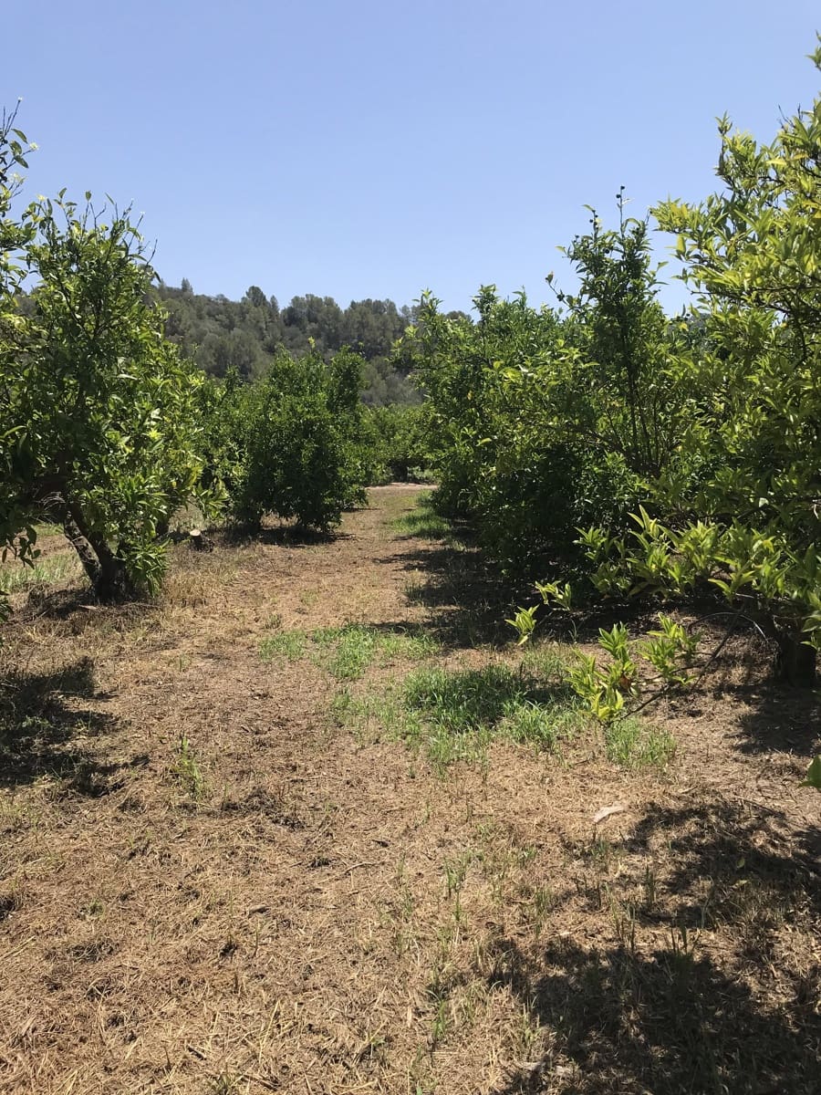 Finca/Landehus til salg i Benifallet med garage - € 98.000 (Ref: 7681863)