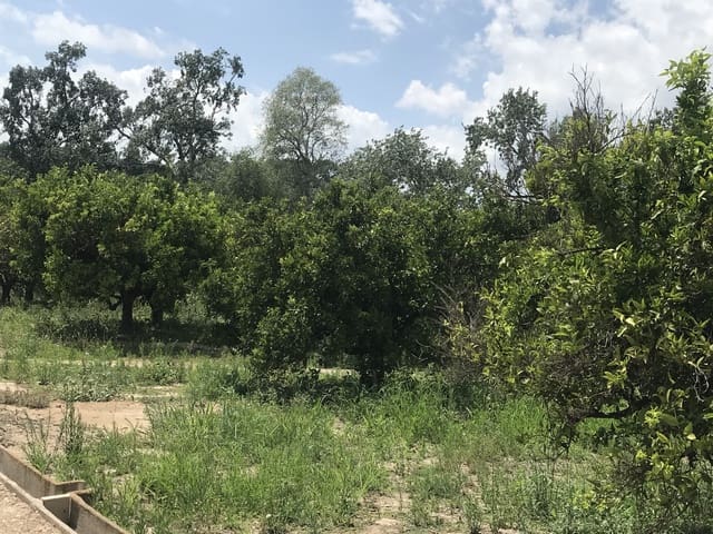 3 chambre Finca/Maison de Campagne à vendre à Bitem, Tortosa - 78 000 € (Ref: 7712090)