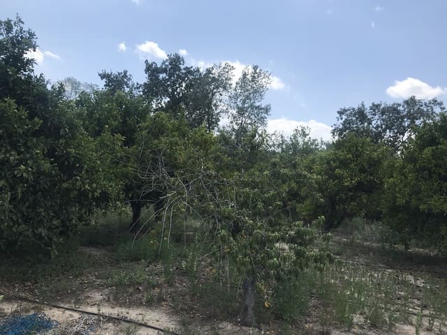 3 chambre Finca/Maison de Campagne à vendre à Bitem, Tortosa - 78 000 € (Ref: 7712090)