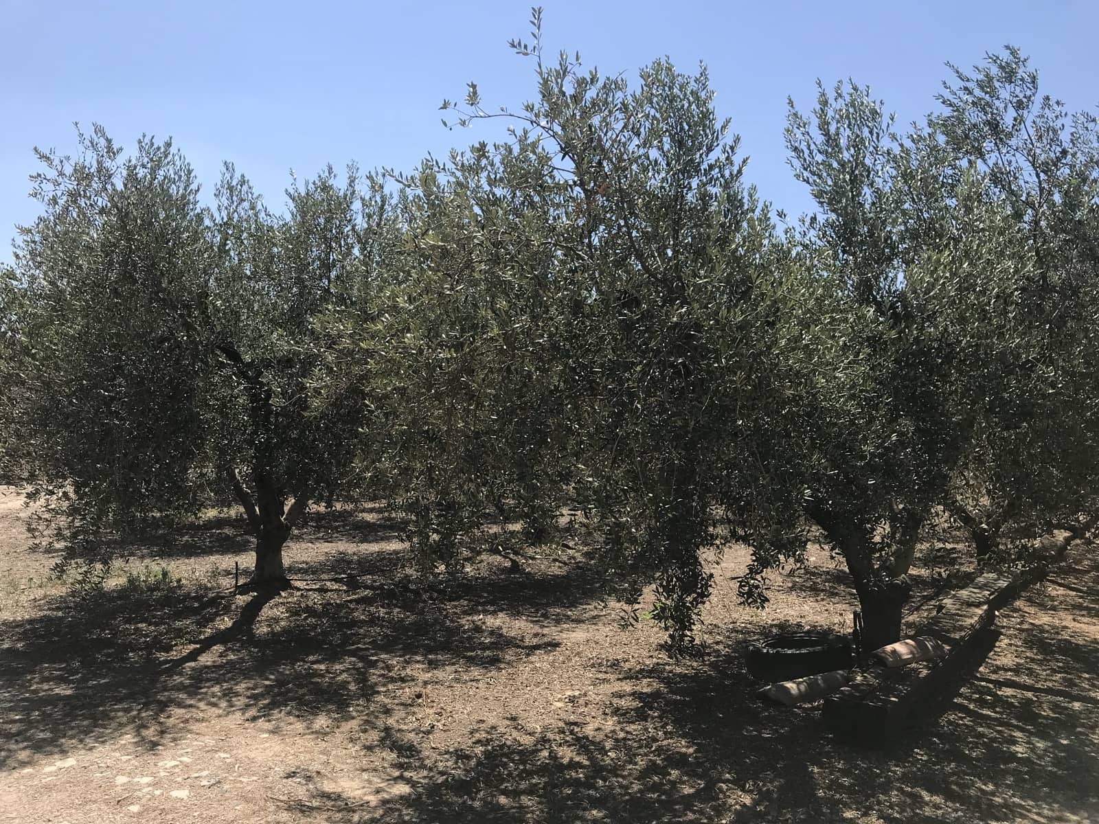 5 soveværelse Finca/Landehus til salg i Garcia med swimmingpool - € 160.000 (Ref: 7714854)