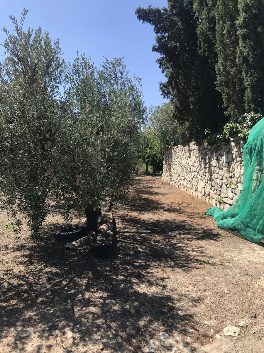5 soveværelse Finca/Landehus til salg i Garcia med swimmingpool garage - € 160.000 (Ref: 7714854)