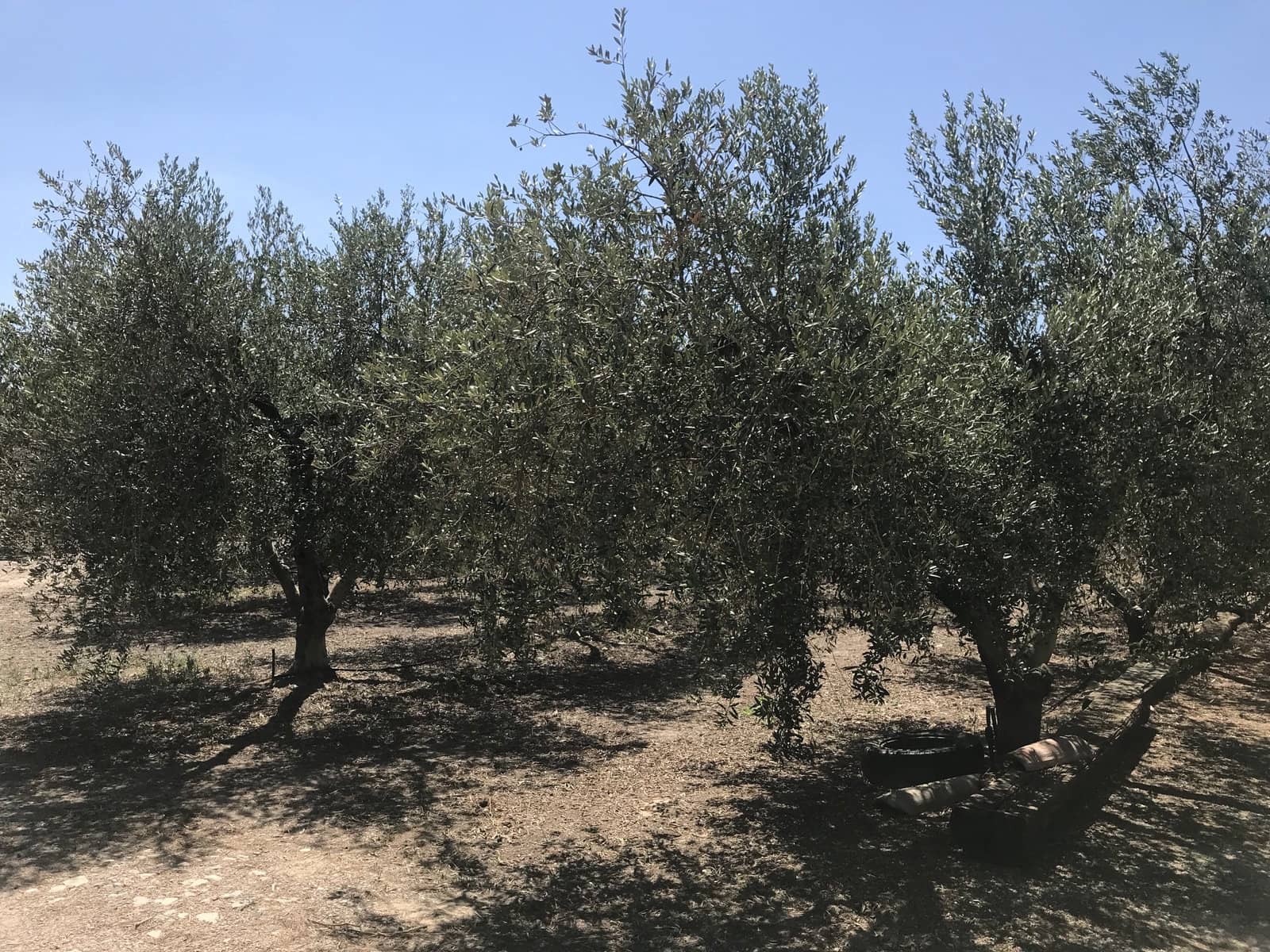 5 soveværelse Finca/Landehus til salg i Garcia med swimmingpool garage - € 160.000 (Ref: 7714854)
