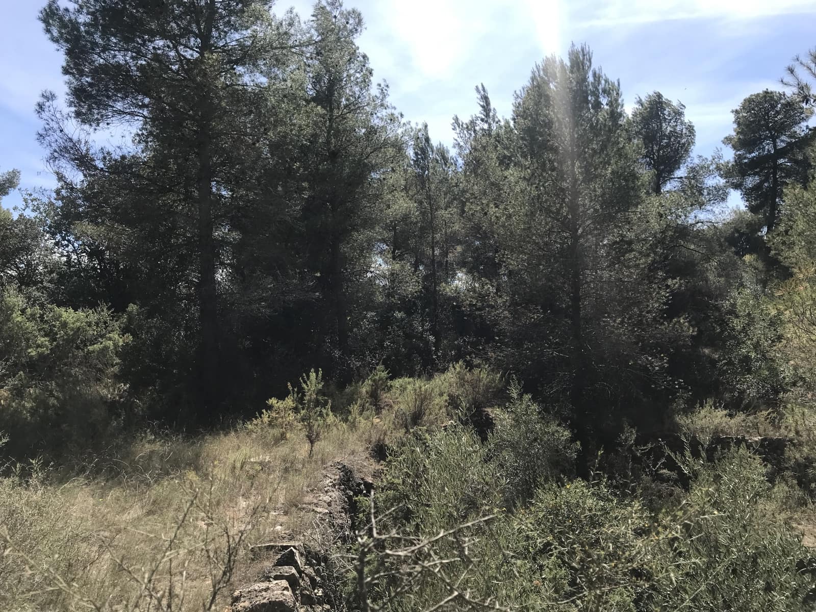 Finca/Landehus til salg i Ginestar - € 25.000 (Ref: 7733592)