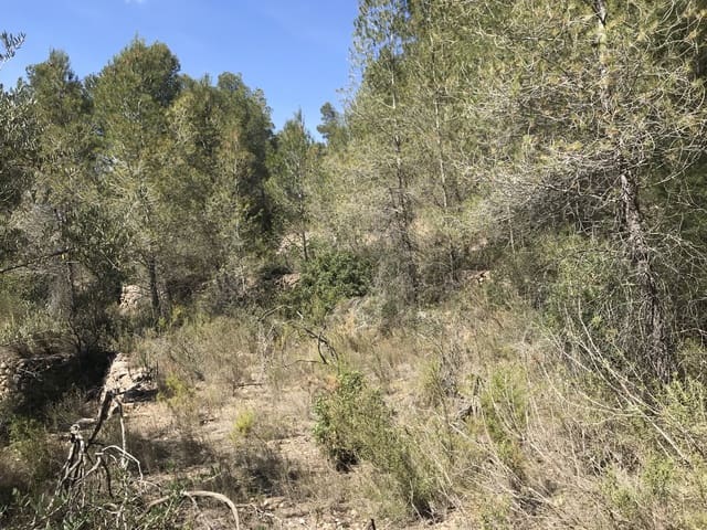 Finca/Landehus til salg i Ginestar - € 25.000 (Ref: 7733592)