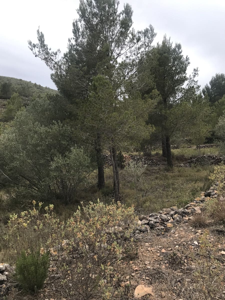 Finca/Hus på landet till salu i Benifallet - 29 000 € (Ref: 7734932)