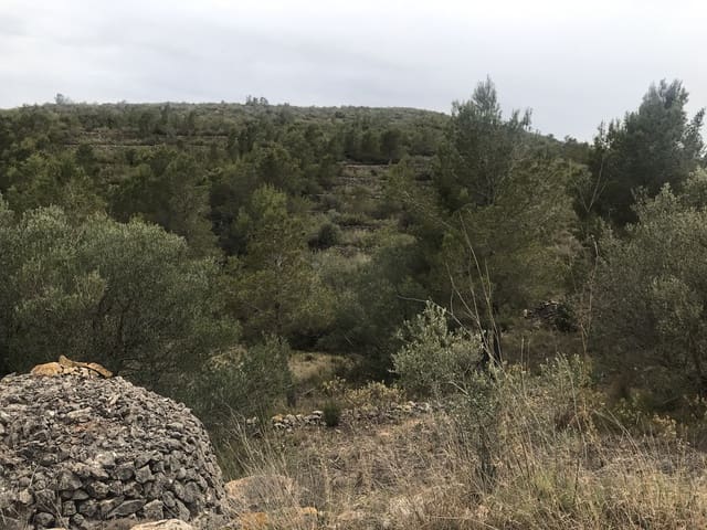 Finca/Landehus til salg i Benifallet - € 29.000 (Ref: 7734932)