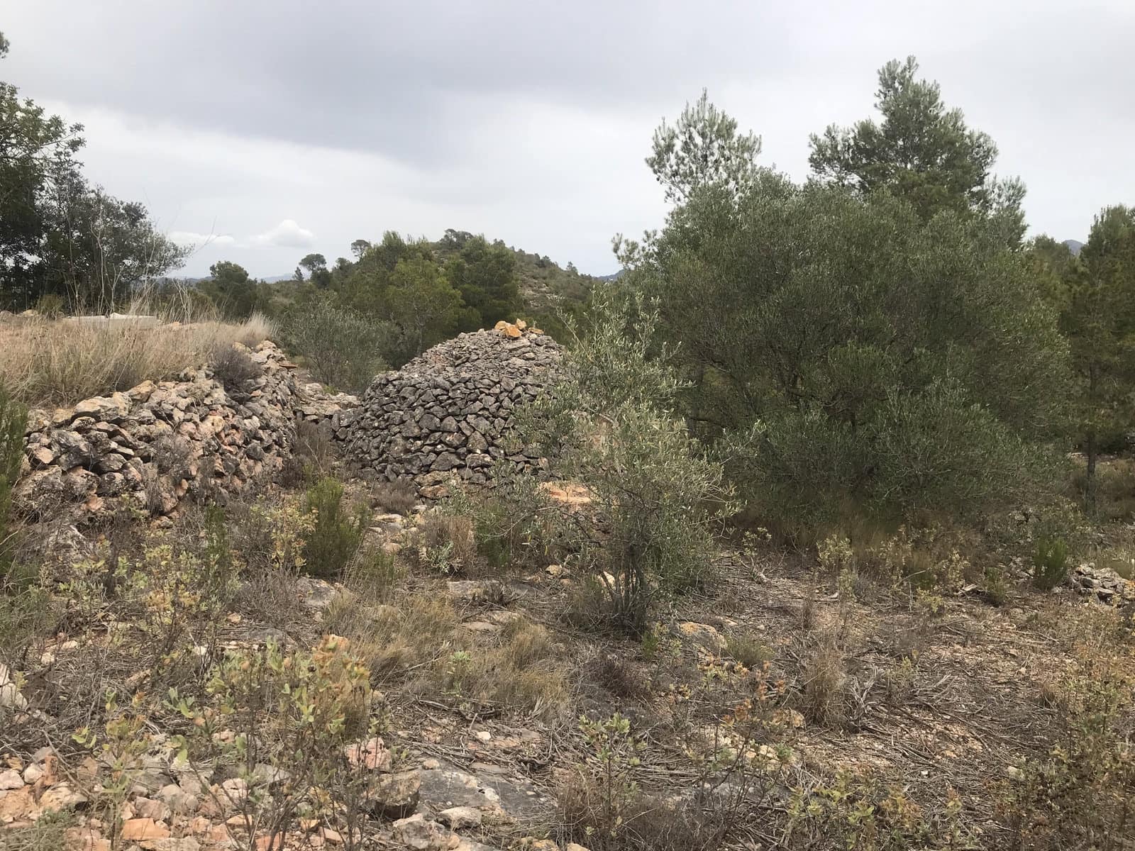 Finca/Landehus til salg i Benifallet - € 29.000 (Ref: 7734932)