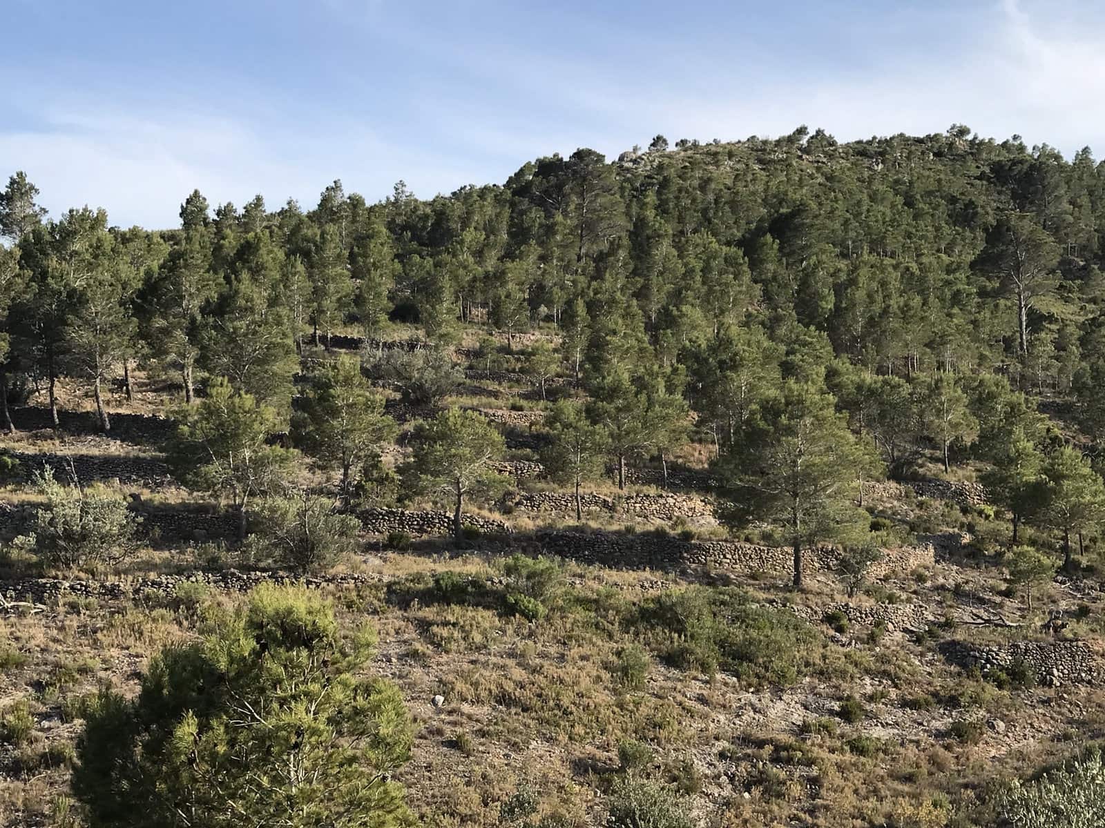 Finca/Landehus til salg i Benifallet - € 29.000 (Ref: 7734932)