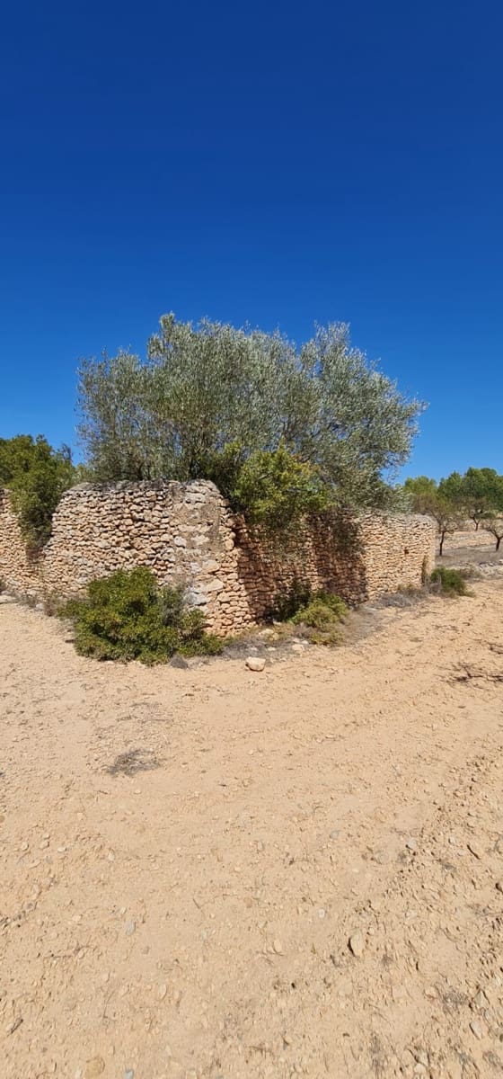 Finca/Hus på landet till salu i El Pinell de Brai - 75 000 € (Ref: 8122711)