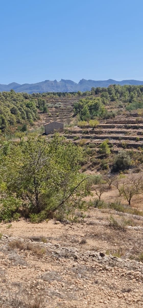 Finca/Hus på landet till salu i El Pinell de Brai - 75 000 € (Ref: 8122711)