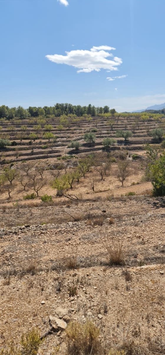 Finca/Hus på landet till salu i El Pinell de Brai - 75 000 € (Ref: 8122711)