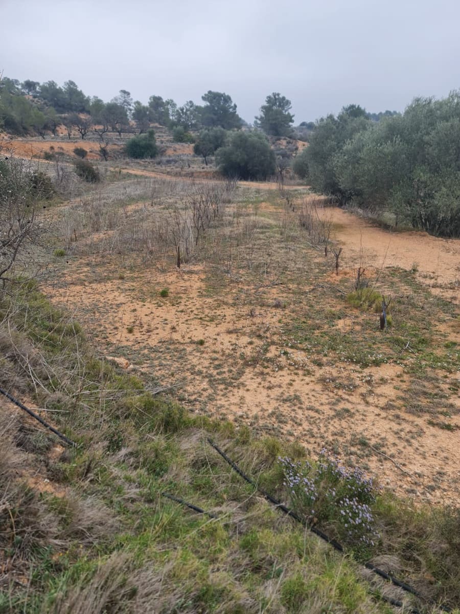 Finca/Hus på landet till salu i El Pinell de Brai - 75 000 € (Ref: 8122711)