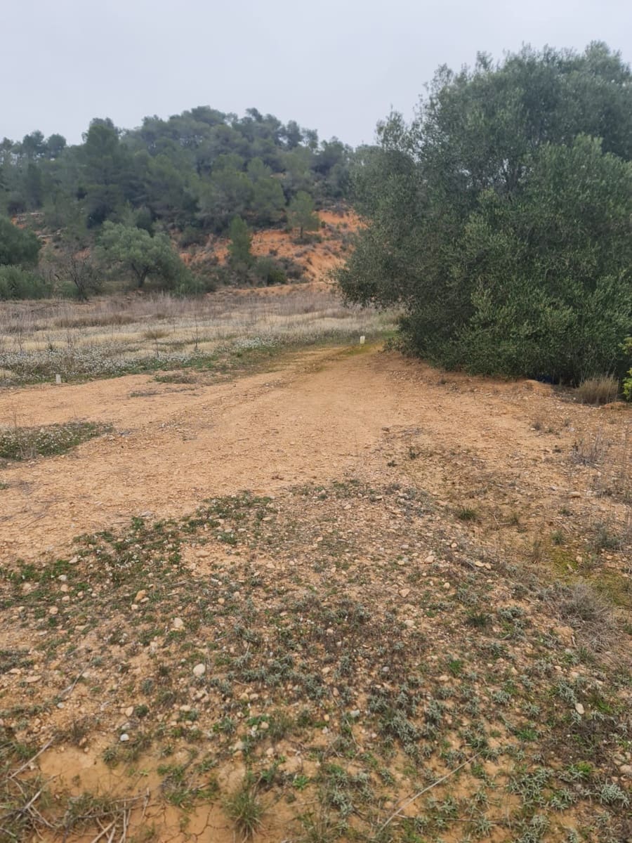 Finca/Casa Rural en El Pinell de Brai en venta - 75.000 € (Ref: 8122711)