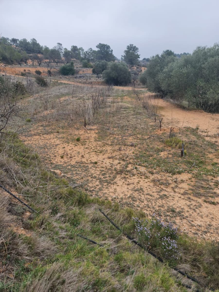 Finca/Casa Rural en El Pinell de Brai en venta - 75.000 € (Ref: 8122711)