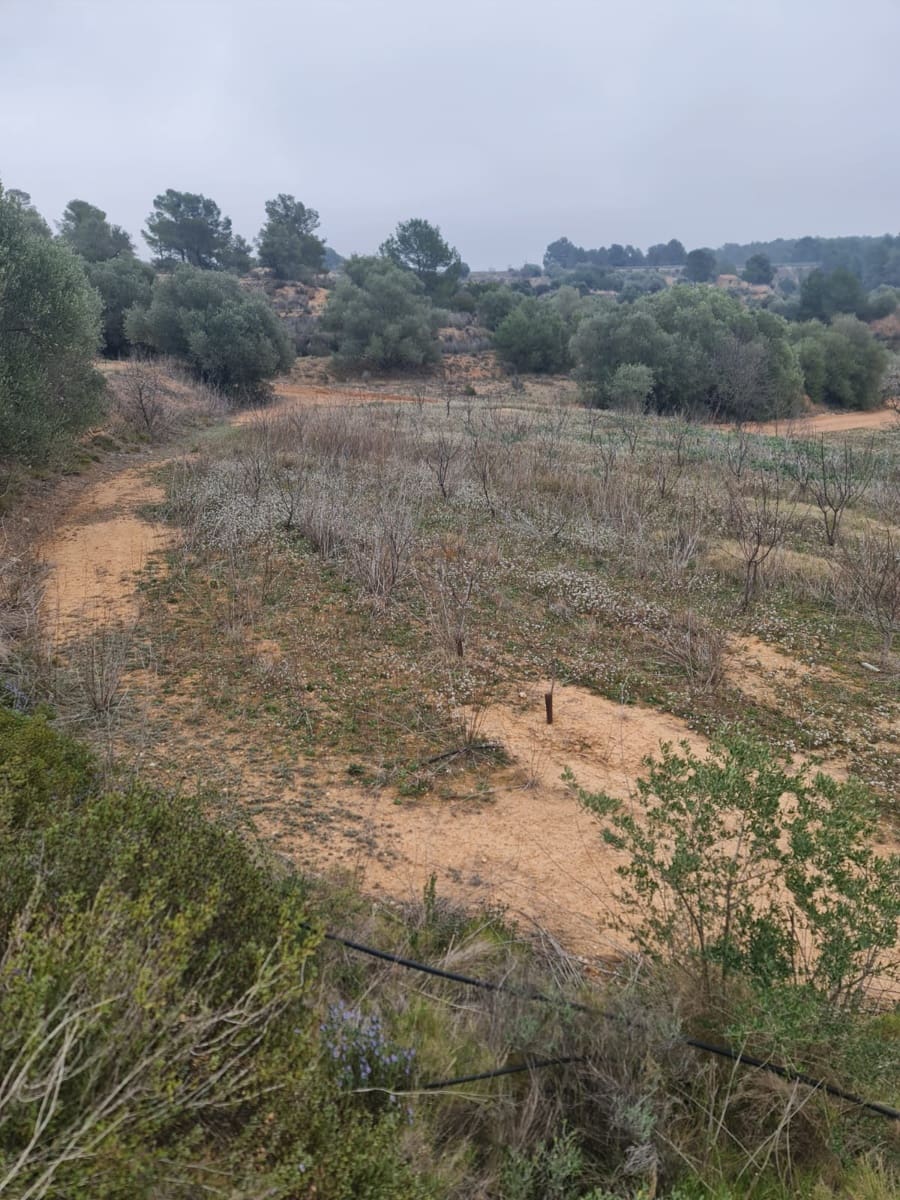 Finca/Casa Rural en El Pinell de Brai en venta - 75.000 € (Ref: 8122711)
