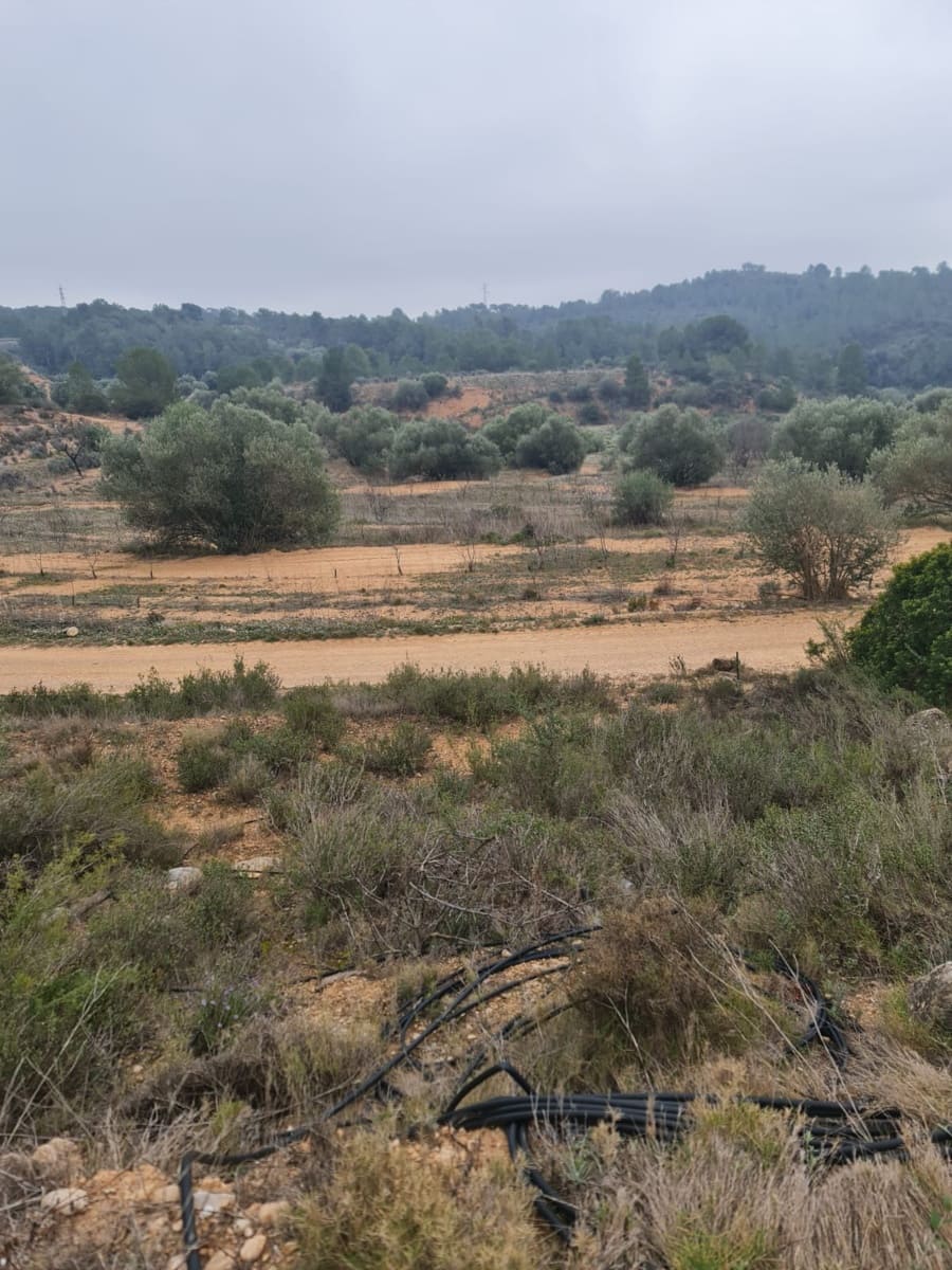 Finca/Casa Rural en El Pinell de Brai en venta - 75.000 € (Ref: 8122711)