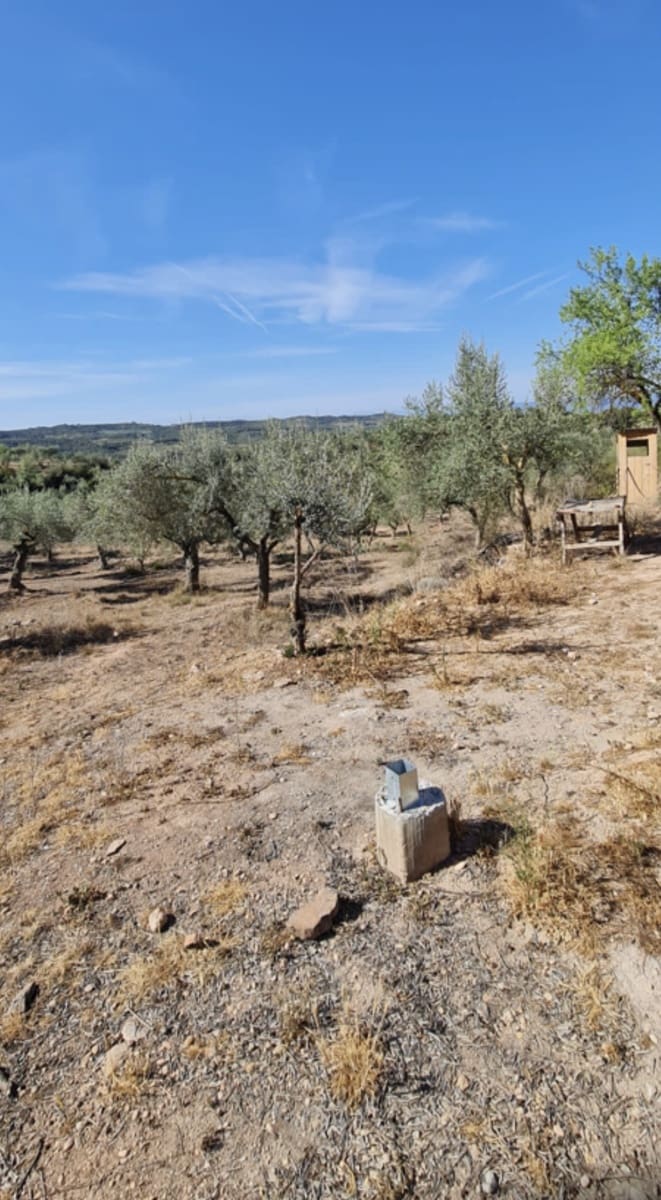 2 bedroom Finca/Country House for sale in Bovera - € 42,000 (Ref: 8125013)