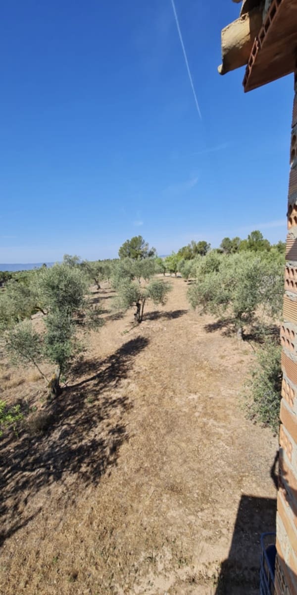 2 bedroom Finca/Country House for sale in Bovera - € 42,000 (Ref: 8125013)