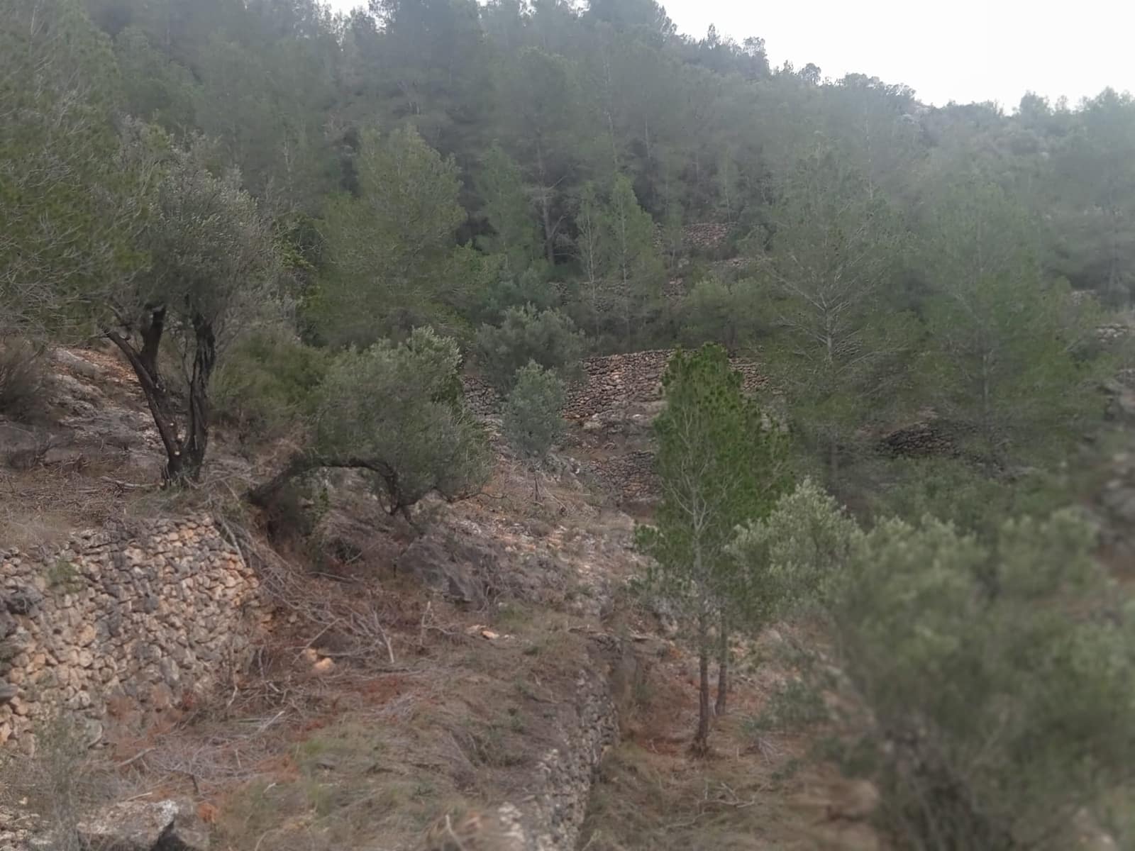 Finca/Casa di Campagna in vendita in Benifallet - 8.000 € (Rif: 8135197)