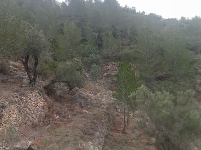 Finca/Landehus til salg i Benifallet - € 8.000 (Ref: 8135197)