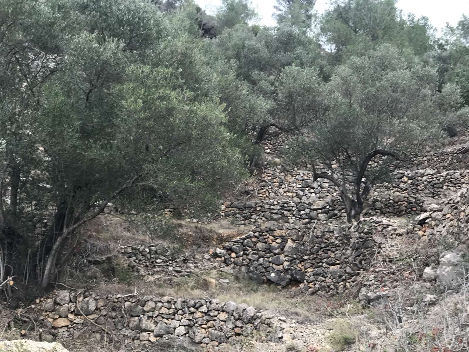 Finca/Casa di Campagna in vendita in Benifallet - 8.000 € (Rif: 8135197)