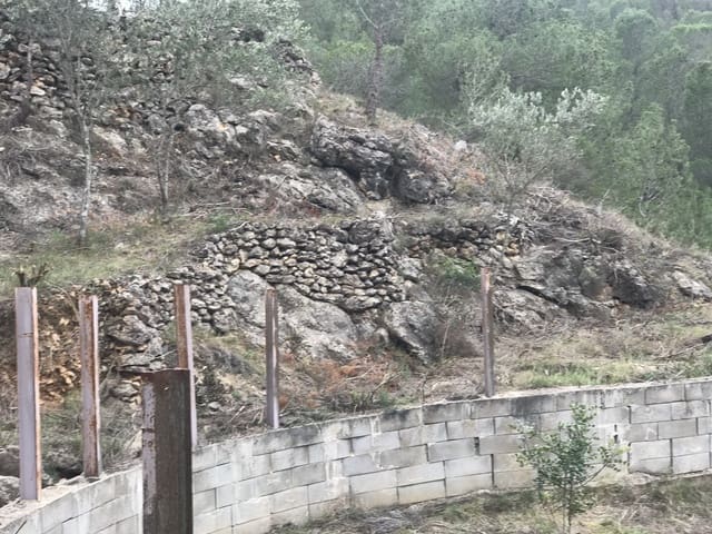 Finca/Landehus til salg i Benifallet - € 8.000 (Ref: 8135197)