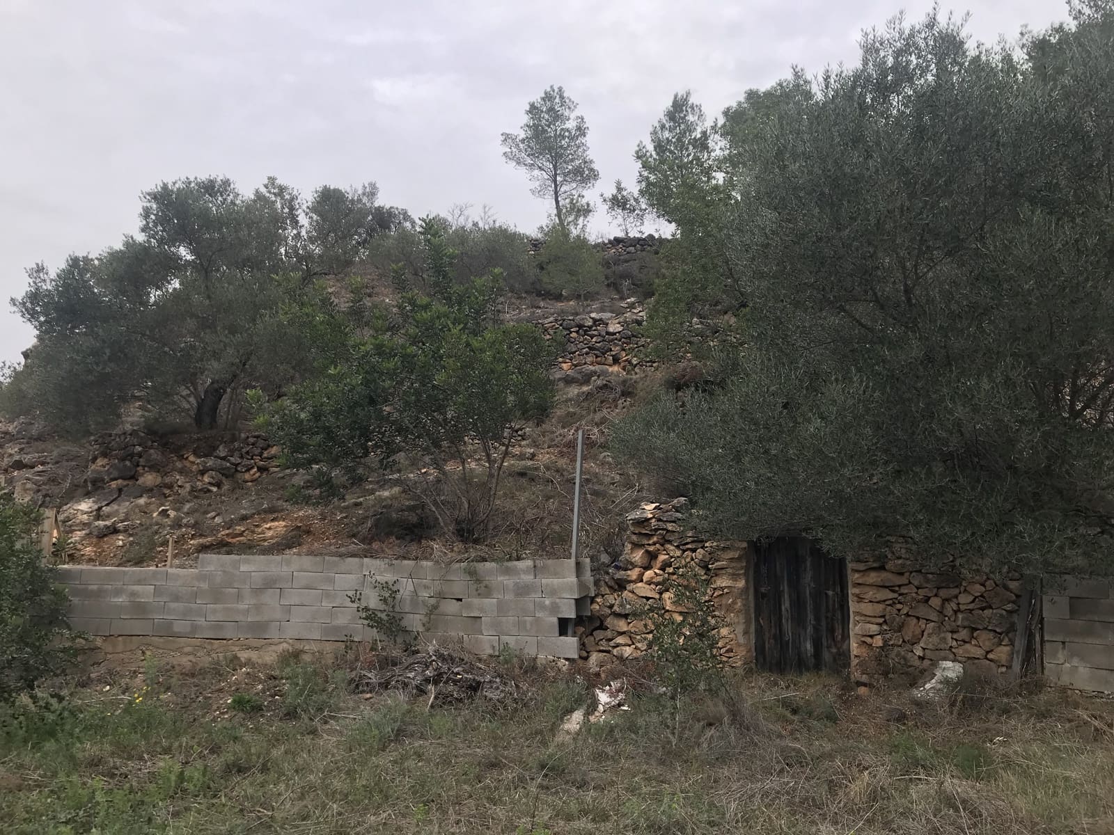 Finca/Casa di Campagna in vendita in Benifallet - 8.000 € (Rif: 8135197)