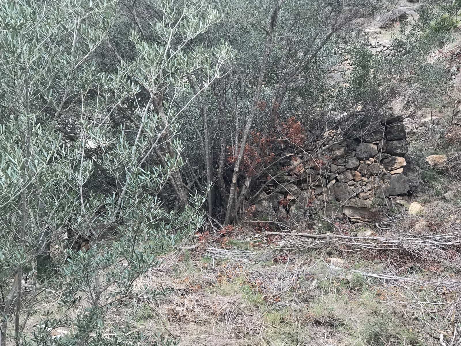 Finca/Casa di Campagna in vendita in Benifallet - 8.000 € (Rif: 8135197)