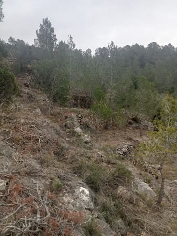 Finca/Herregård til salgs i Benifallet - € 8 000 (Ref: 8135197)