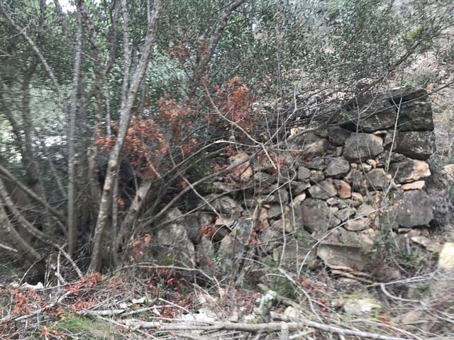 Finca/Herregård til salgs i Benifallet - € 8 000 (Ref: 8135197)