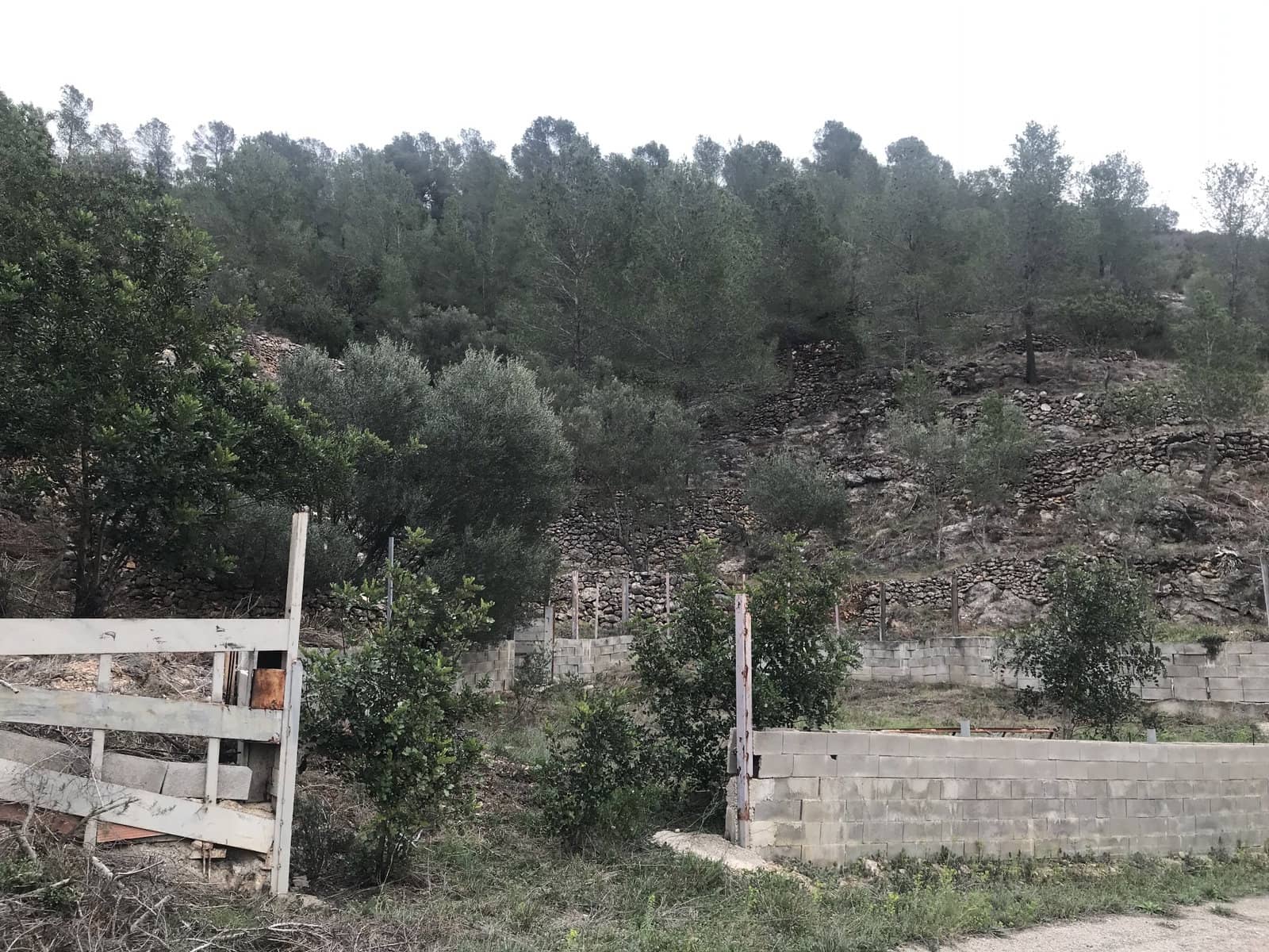 Finca/Country House for sale in Benifallet - € 8,000 (Ref: 8135197)