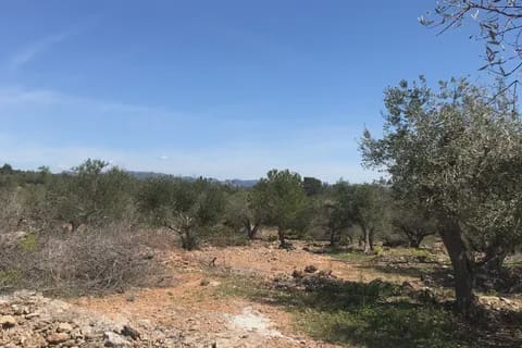 3 soveværelse Finca/Landehus til salg i Rasquera - € 49.000 (Ref: 8199861)