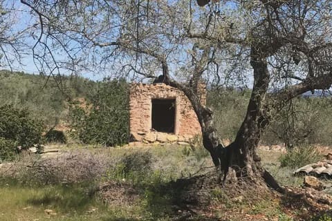 3 soveværelse Finca/Landehus til salg i Rasquera - € 49.000 (Ref: 8199861)