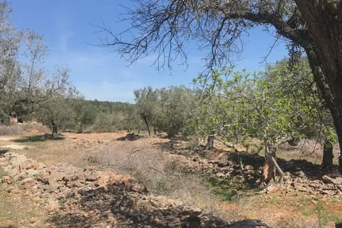 3 soveværelse Finca/Landehus til salg i Rasquera - € 49.000 (Ref: 8199861)