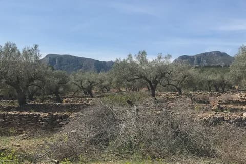 3 soveværelse Finca/Landehus til salg i Rasquera - € 49.000 (Ref: 8199861)