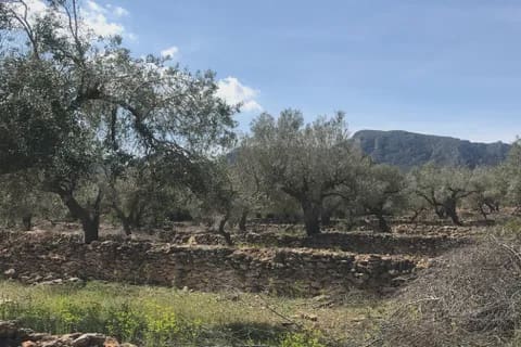 3 soveværelse Finca/Landehus til salg i Rasquera - € 49.000 (Ref: 8199861)